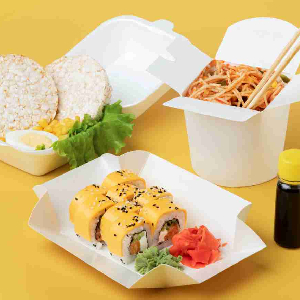 percetakan bandung, percetakan di bandung, cetak buku bandung, cetak brosur bandung, percetakan online bandung, percetakan murah bandung, cetak kalender bandung. Kemasan Makanan Nasi Box Solusi Praktis, Higienis, dan Menarik untuk Berbagai Kebutuhan
