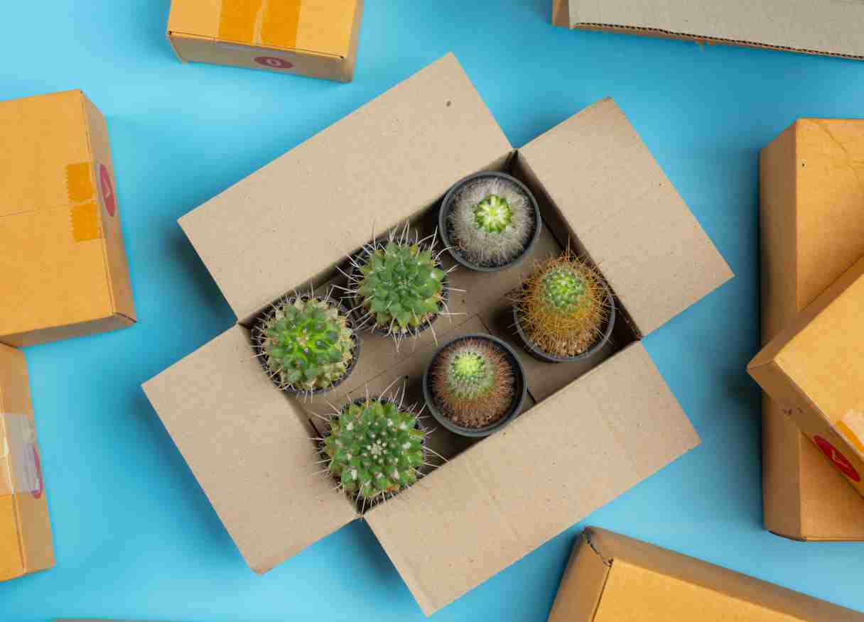 percetakan bandung Dus Packing Custom Bandung Solusi Kemasan Profesional untuk Berbagai Kebutuhan Bisnis Bagi Anda yang berada di Jawa Barat, khususnya Kota Bandung, layanan dus packing custom Bandung hadir sebagai solusi kemasan berkualitas, fleksibel, dan sesuai dengan kebutuhan usaha Anda