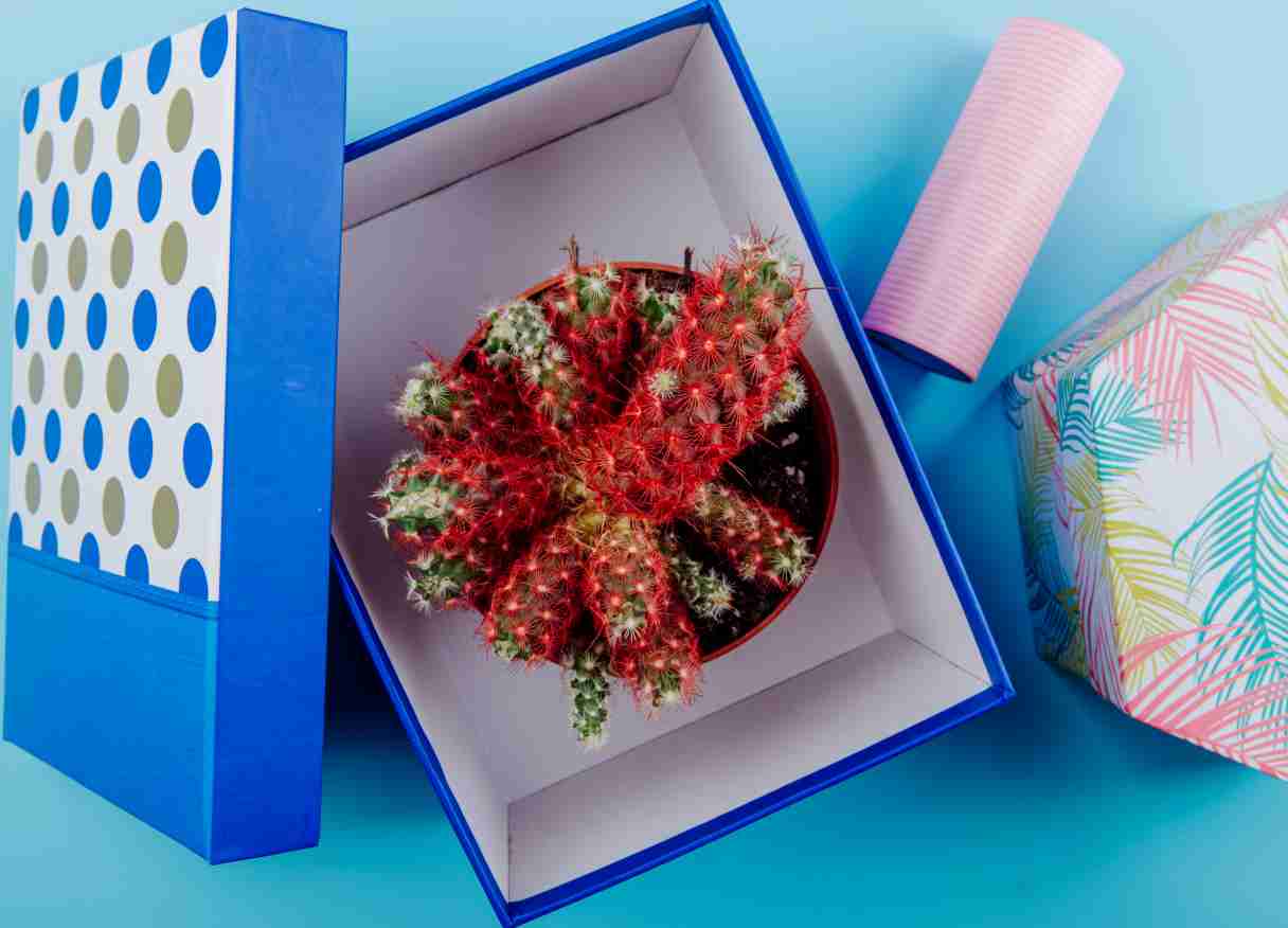 Di sinilah custom box hampers memegang peranan penting. Kemasan yang menarik, eksklusif, dan sesuai tema mampu meningkatkan nilai hadiah secara signifikan. Baik untuk keperluan personal maupun bisnis